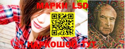 дмт Краснодар