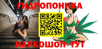 дмт Краснодар