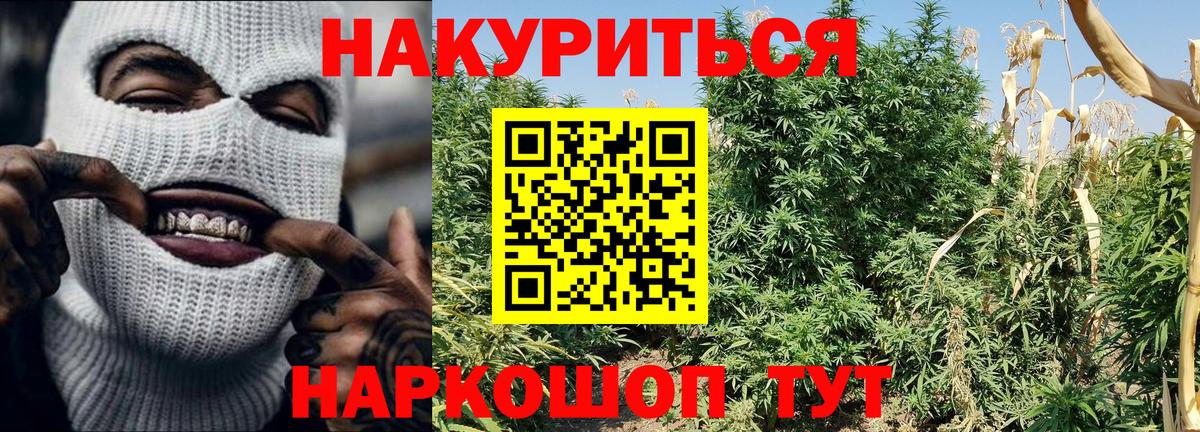 ГАШИШ Балашов